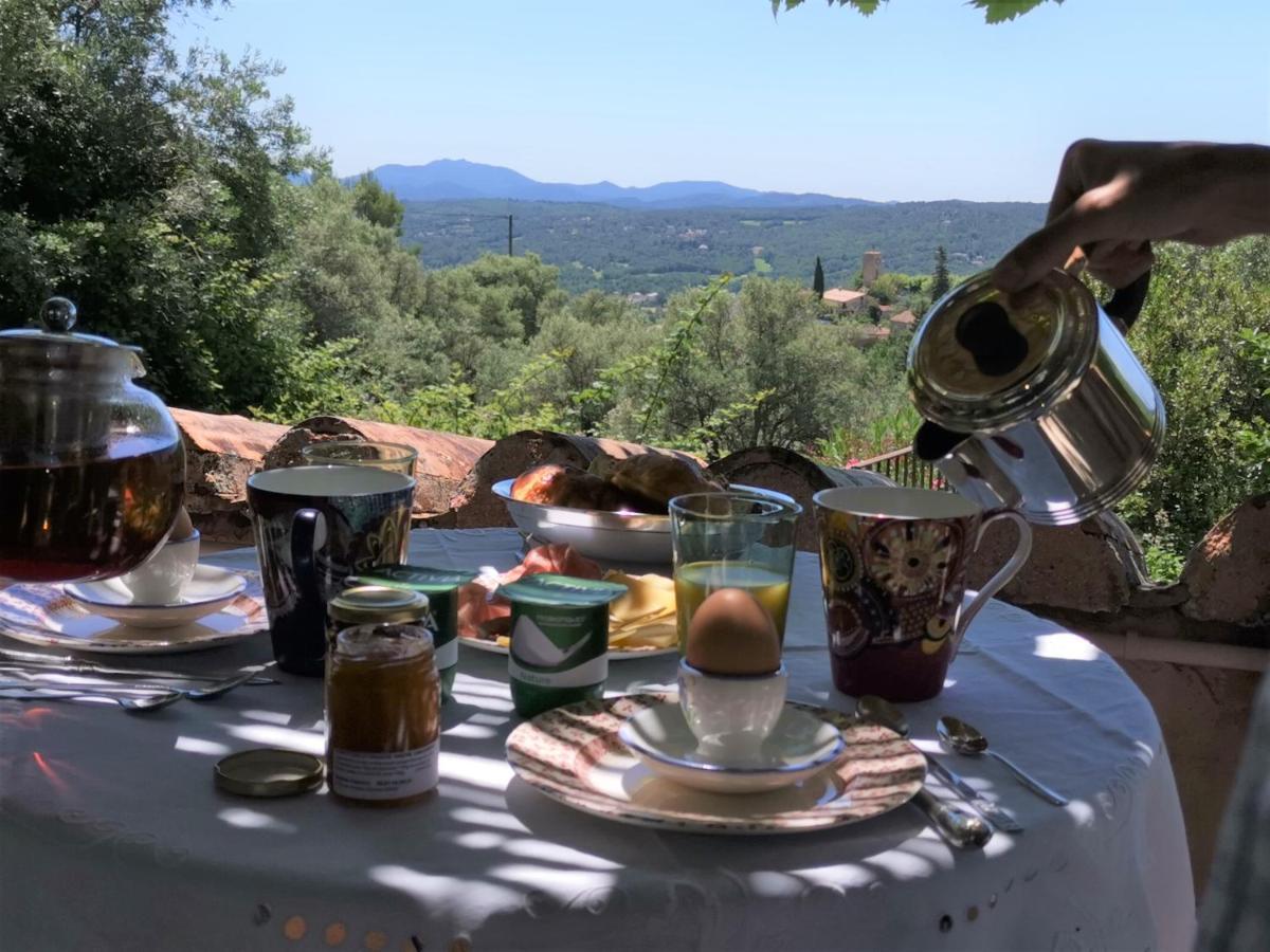 Le Nid Des Arts Bed and Breakfast Tourrettes Eksteriør billede