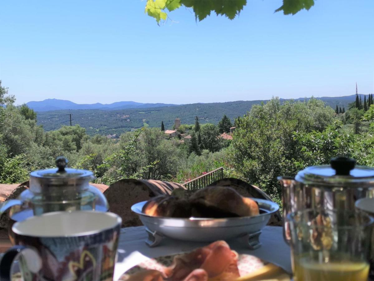 Le Nid Des Arts Bed and Breakfast Tourrettes Eksteriør billede
