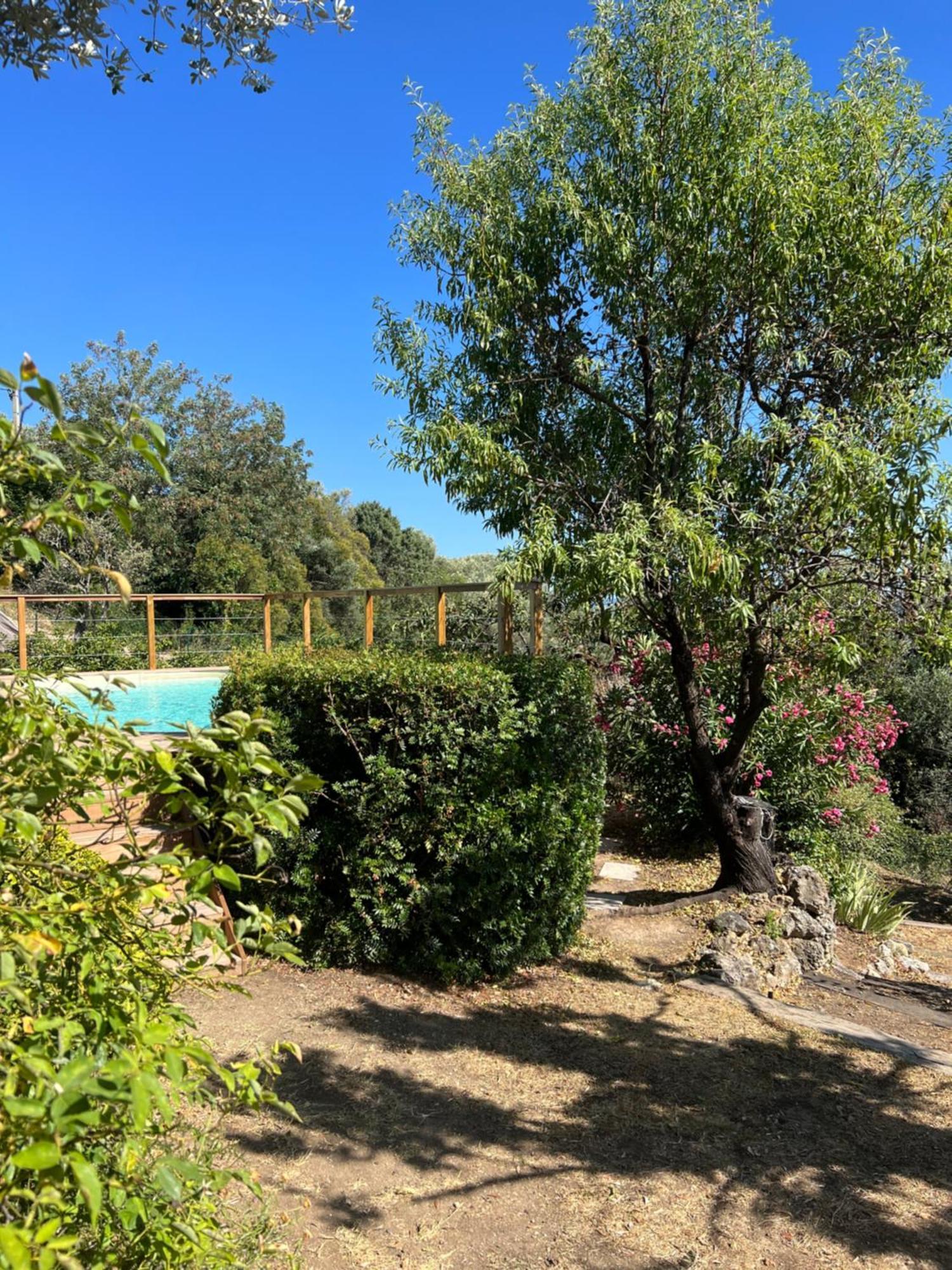 Le Nid Des Arts Bed and Breakfast Tourrettes Eksteriør billede